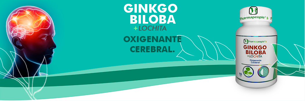 WebFinal-09