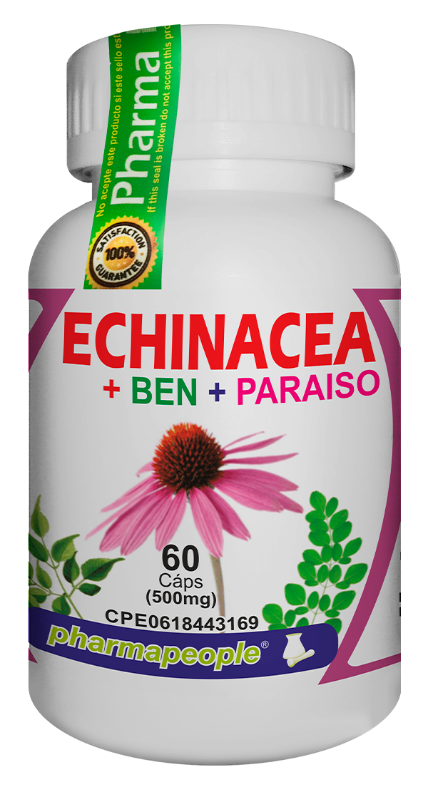 Echinacea + Ben + Paraíso
