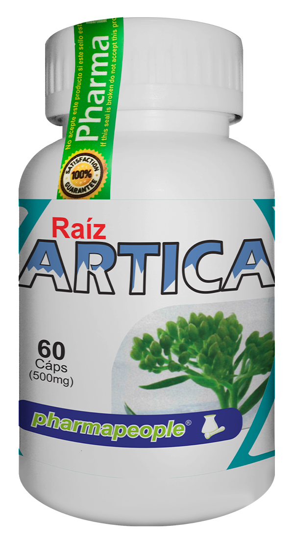 Raíz Artica